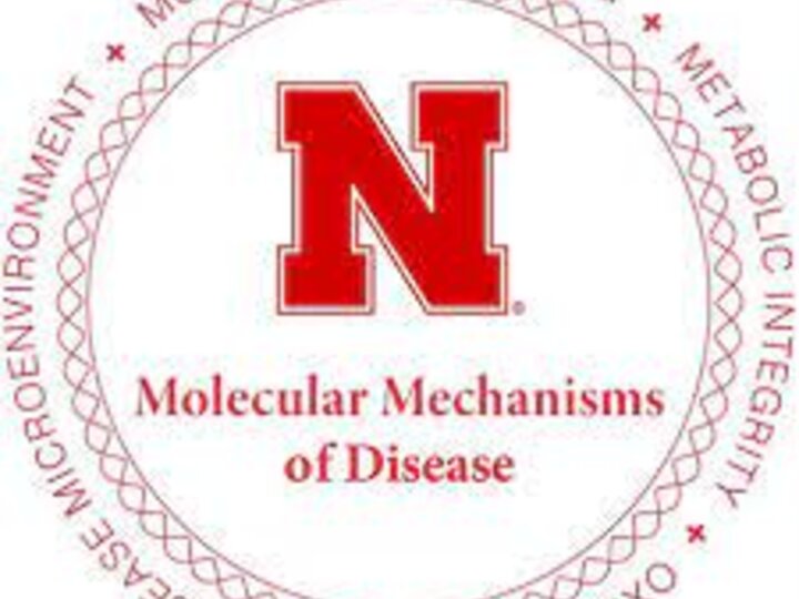 MMod LOGO
